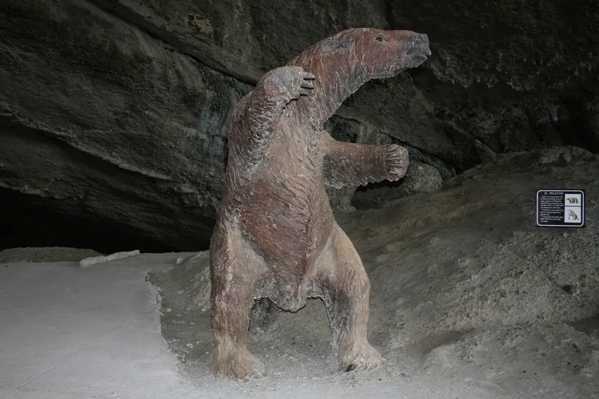 The entrance of the Cueva del Milodón