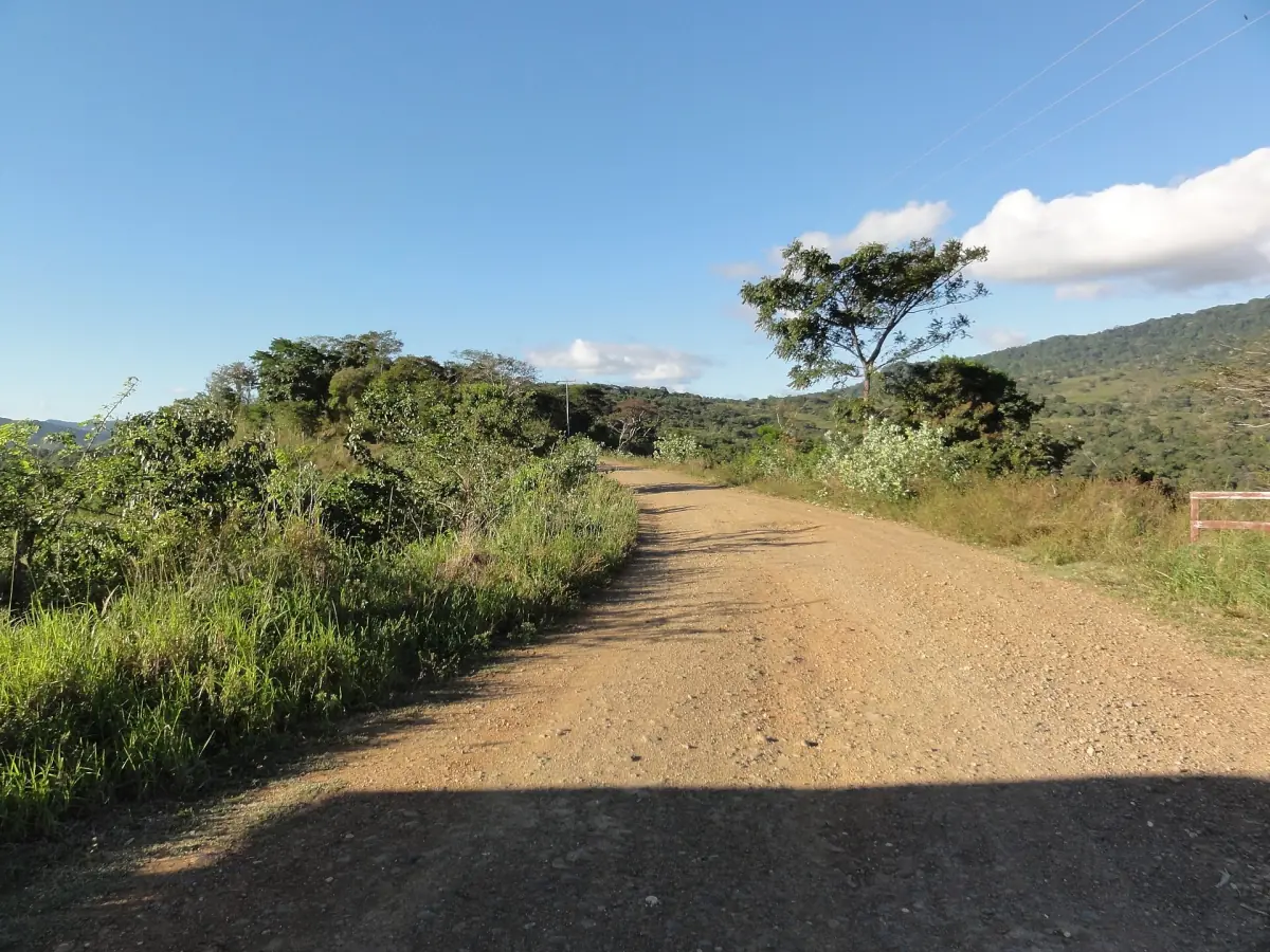 A gravel road in the park
