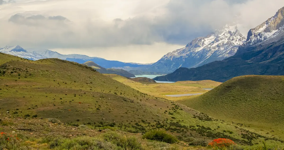Rolling steppe in the east of the park